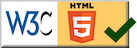 HTML5 validation results